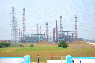 大明支持環保項目建設