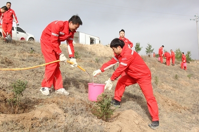 長慶油田采油七廠 企地共建“同心林”，科技賦能綠色發展