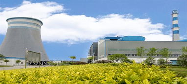 安能熱電集團(tuán)綠色能源環(huán)保綜合開(kāi)發(fā)項(xiàng)目落戶(hù)我縣，開(kāi)啟綠色發(fā)展新篇章