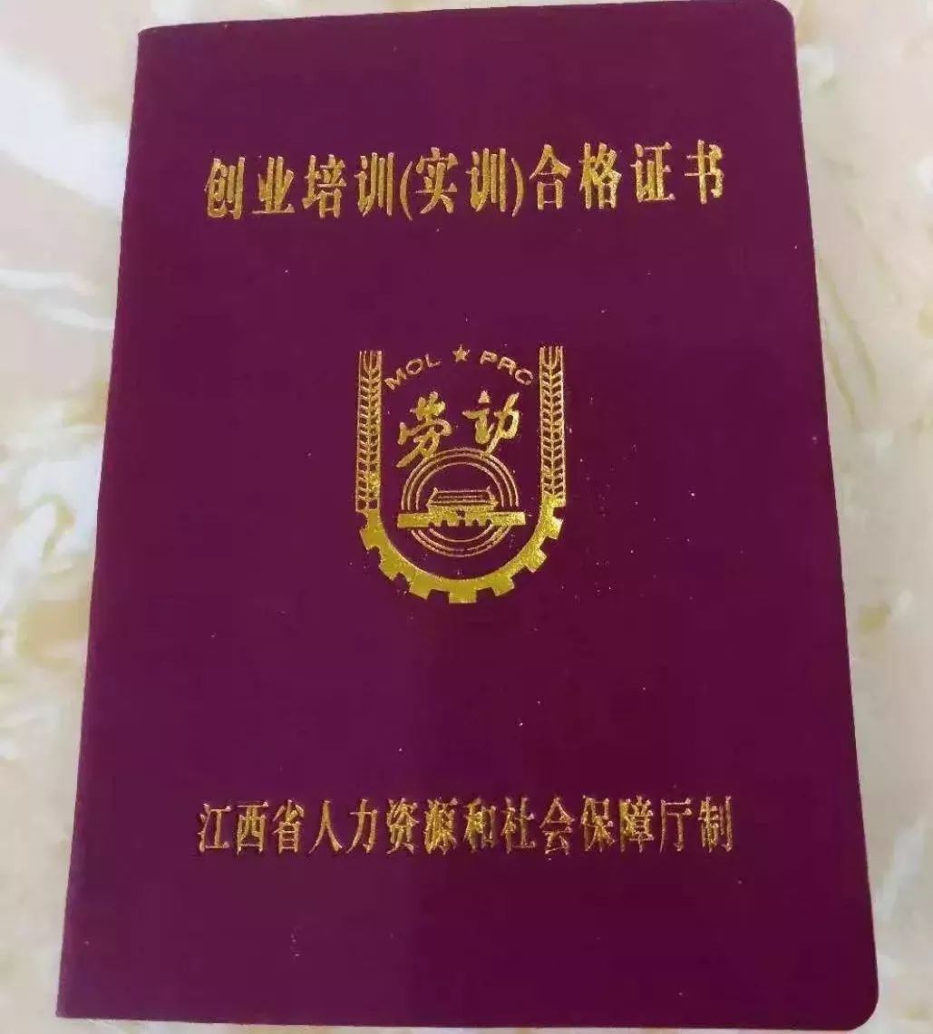 你培訓,我買單!電商免費培訓火熱報名中!_創業