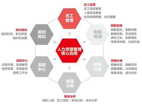 飛宇公司集中力量完善員工人事信息 助推人力資源管理數字化建設